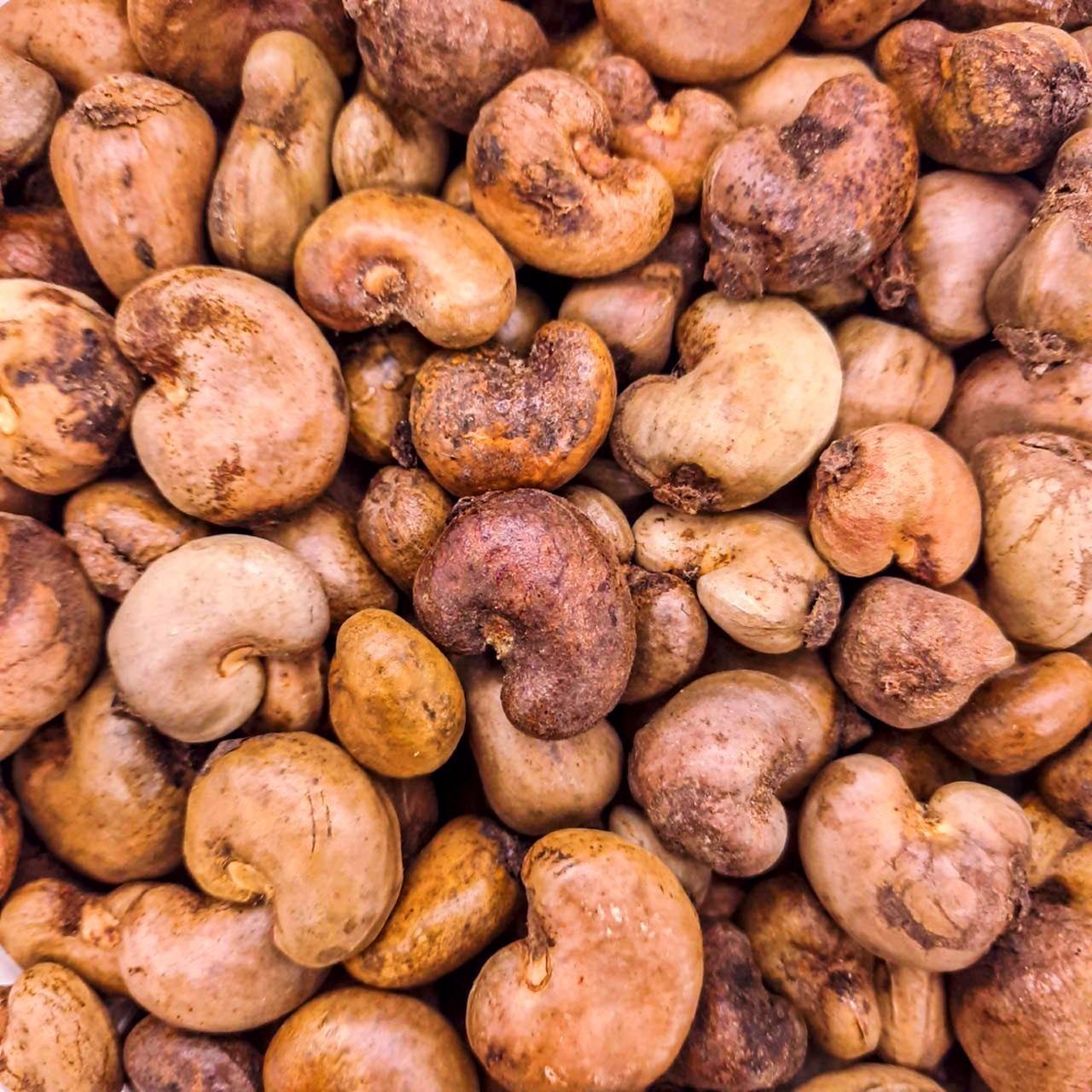 Cashew Raw