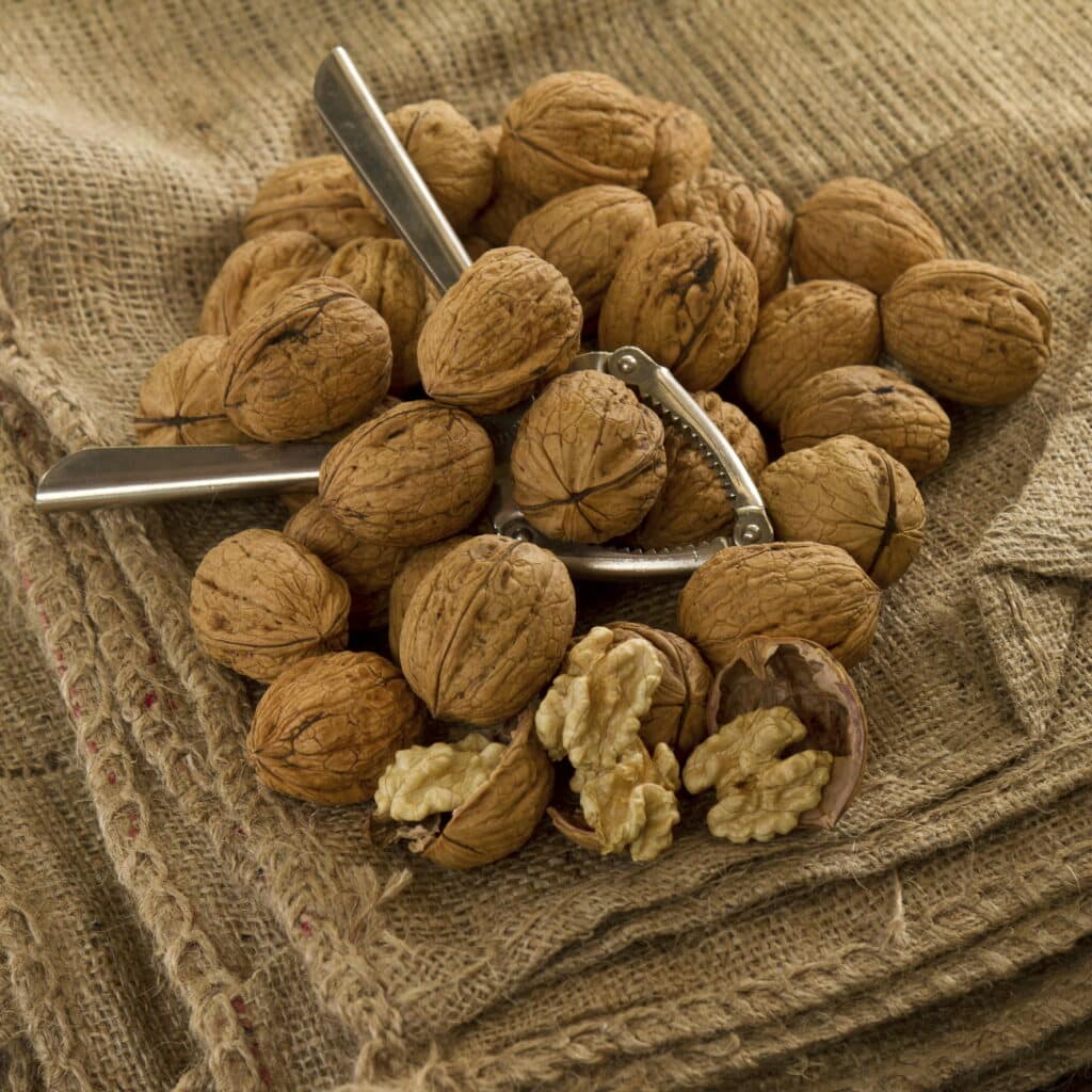 Walnut Inshell